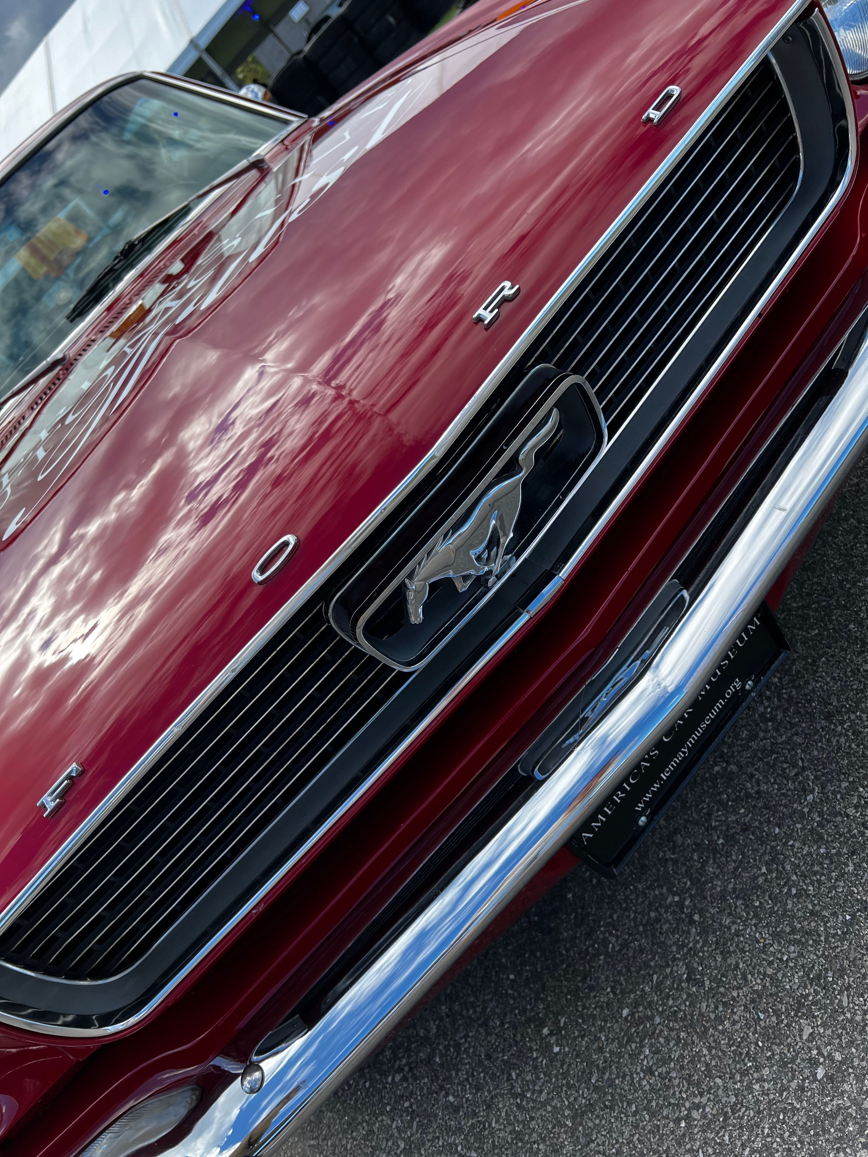 The grille and galloping pony emblem of a classic red Ford Mustang